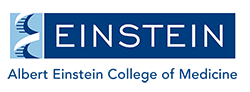 Albert Einstein College of Medicine